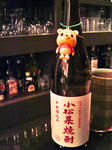 DSC04176_edited-1.jpg