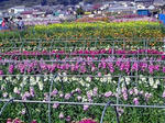 DSC04193_edited-1.jpg