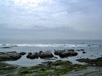 DSC04192_edited-1.jpg