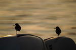 pict00851.jpg