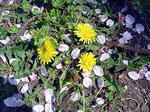 DSC04265_edited-1.jpg