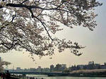 DSC04261_edited-1.jpg