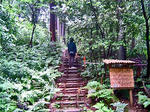 DSC04371_edited-1.jpg