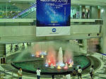 DSC04500_edited-2.jpg