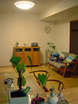 DSC04541_edited-1.jpg