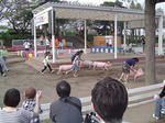DSC04853.jpg