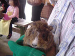 DSC04843.jpg