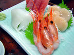 DSC04863_edited-1.jpg