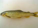 DSC04968.jpg