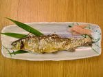 DSC04969.jpg