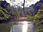 DSC04979_edited-1.jpg