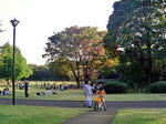 DSC04982_edited-1.jpg