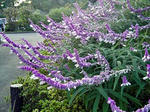 DSC04990_edited-1.jpg