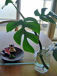 DSC05519_edited-1.jpg
