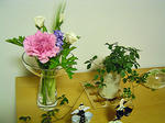 DSC05611.jpg