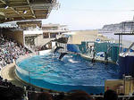 DSC05703_edited-1.jpg