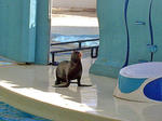 DSC05710_edited-1.jpg