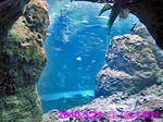 DSC05694_edited-1.jpg