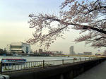 DSC05804_edited-1.jpg
