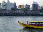 DSC05800_edited-1.jpg