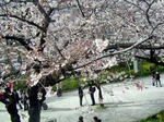 DSC05829_edited-1.jpg