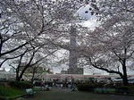DSC05847_edited-1.jpg