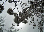 DSC05851_edited-1.jpg
