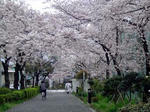 DSC05852_edited-1.jpg