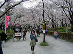 DSC05836_edited-1.jpg