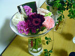 DSC05680_edited-1.jpg