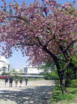 DSC06011_edited-1.jpg