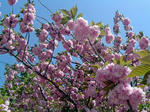 DSC06007_edited-1.jpg
