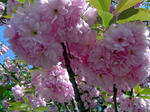 DSC06008_edited-1.jpg
