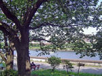 DSC06105_edited-1.jpg