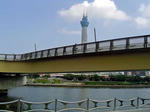 DSC06115_edited-1.jpg