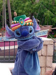DSC06167_edited-1.jpg
