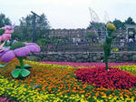 DSC06147_edited-1.jpg