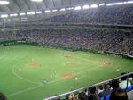DSC06271_edited-1.jpg