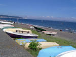 DSC06311_edited-1.jpg
