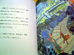 DSC06381_edited-1.jpg