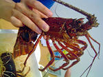 DSC06516_edited-1.jpg