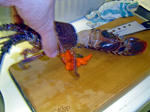 DSC06521_edited-1.jpg