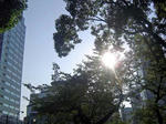 DSC06550_edited-1.jpg