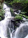 DSC06647_edited-1.jpg
