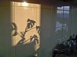 DSC06725_edited-1.jpg