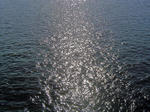 DSC06905_edited-1.jpg