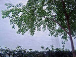 DSC06849_edited-1.jpg