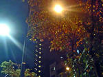 DSC06862_edited-1.jpg