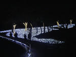 DSC07021.jpg
