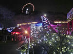 DSC07049_edited-1.jpg